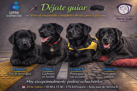 Déjate guiar. Vive el recorrido completo de un perro guía.