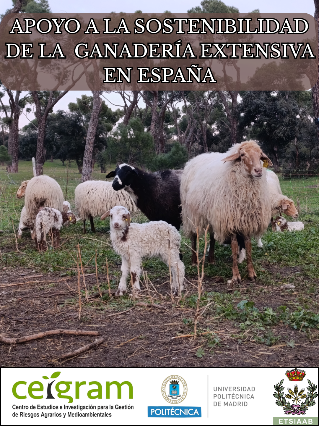 Apoyo a la sostenibilidad de la  Ganadería Extensiva en España