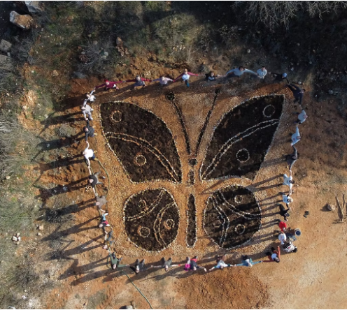  Regenerando Mariposas. Construcción de una gran escultura vegetal. Año del Liderazgo regenerativo 2026.